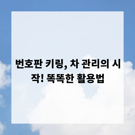번호판 키링, 차 관리의 시작! 똑똑한 활용법