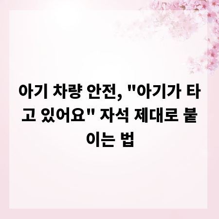 아기 차량 안전, 