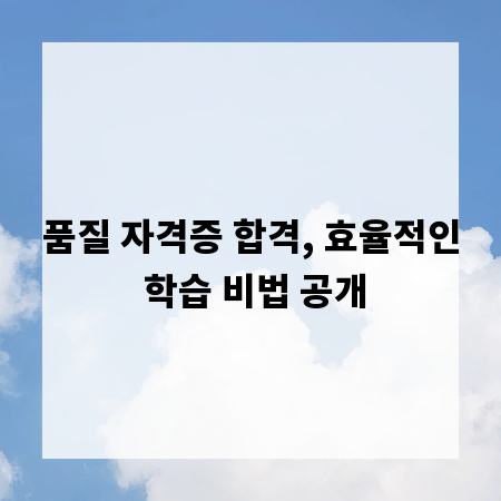 품질 자격증 합격, 효율적인 학습 비법 공개