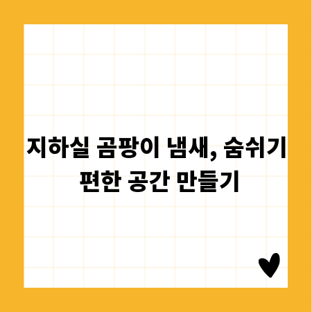 지하실 곰팡이 냄새, 숨쉬기 편한 공간 만들기