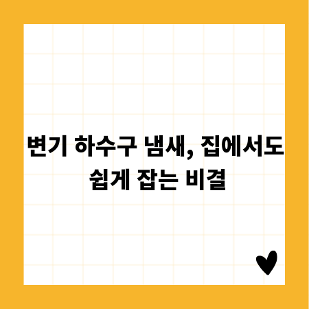 변기 하수구 냄새, 집에서도 쉽게 잡는 비결