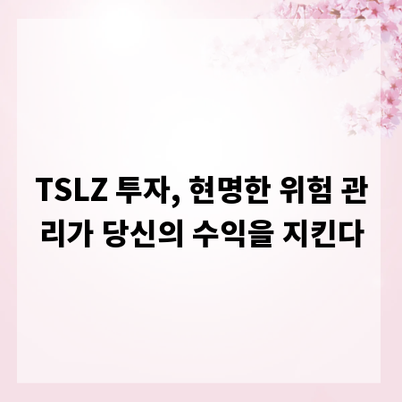 TSLZ 투자, 현명한 위험 관리가 당신의 수익을 지킨다