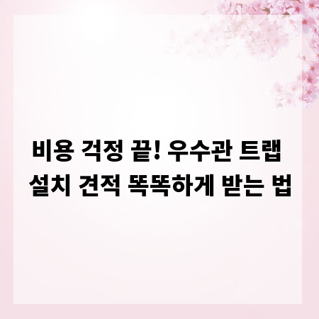 비용 걱정 끝! 우수관 트랩 설치 견적 똑똑하게 받는 법