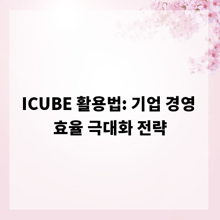 ICUBE 활용법: 기업 경영 효율 극대화 전략