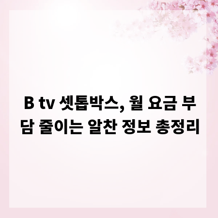 B tv 셋톱박스, 월 요금 부담 줄이는 알찬 정보 총정리