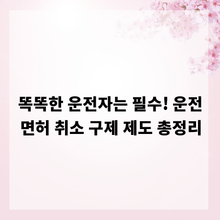 똑똑한 운전자는 필수! 운전면허 취소 구제 제도 총정리