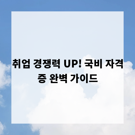 취업 경쟁력 UP! 국비 자격증 완벽 가이드
