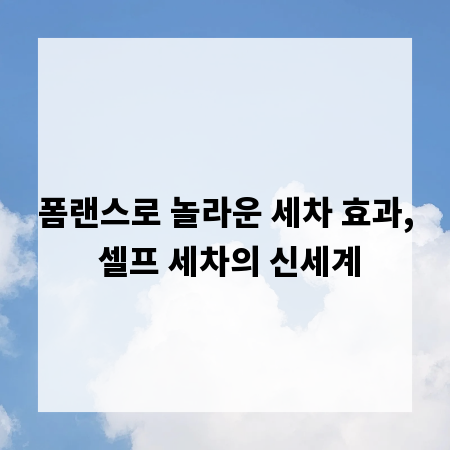 폼랜스로 놀라운 세차 효과, 셀프 세차의 신세계