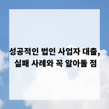 성공적인 법인 사업자 대출, 실패 사례와 꼭 알아둘 점