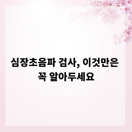 심장초음파 검사, 이것만은 꼭 알아두세요