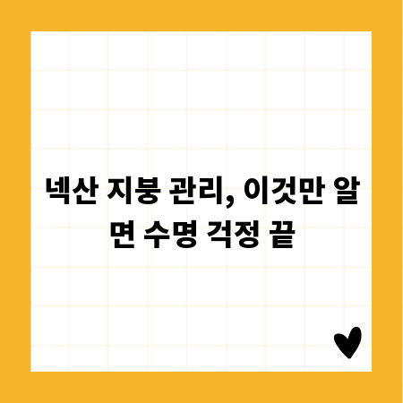 넥산 지붕 관리, 이것만 알면 수명 걱정 끝