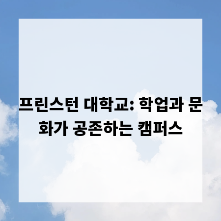 프린스턴 대학교: 학업과 문화가 공존하는 캠퍼스