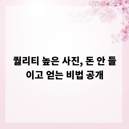 퀄리티 높은 사진, 돈 안 들이고 얻는 비법 공개