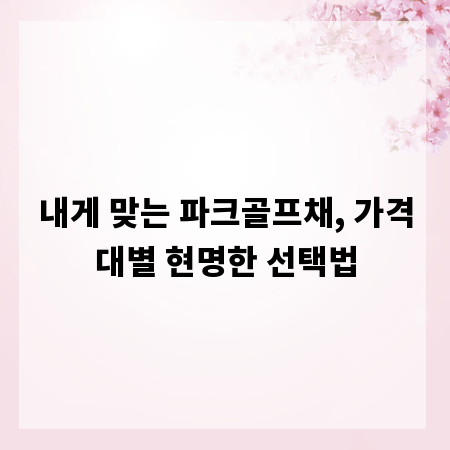 내게 맞는 파크골프채, 가격대별 현명한 선택법