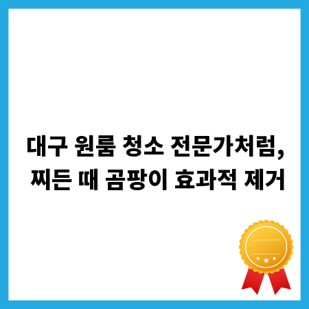 대구 원룸 청소 전문가처럼, 찌든 때 곰팡이 효과적 제거