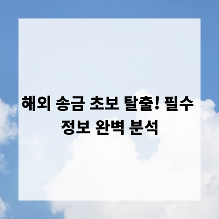 해외 송금 초보 탈출! 필수 정보 완벽 분석