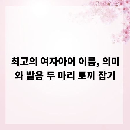 최고의 여자아이 이름, 의미와 발음 두 마리 토끼 잡기