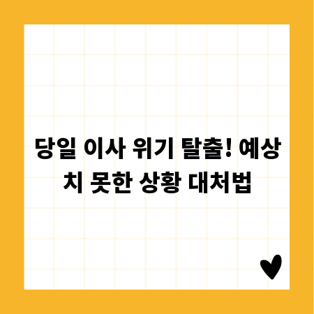 당일 이사 위기 탈출! 예상치 못한 상황 대처법