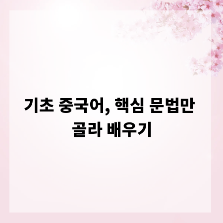 기초 중국어, 핵심 문법만 골라 배우기