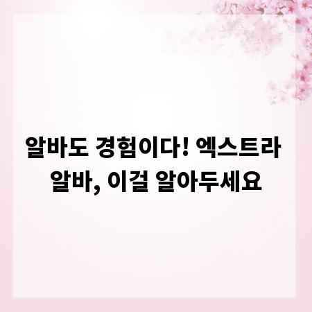 알바도 경험이다! 엑스트라 알바, 이걸 알아두세요