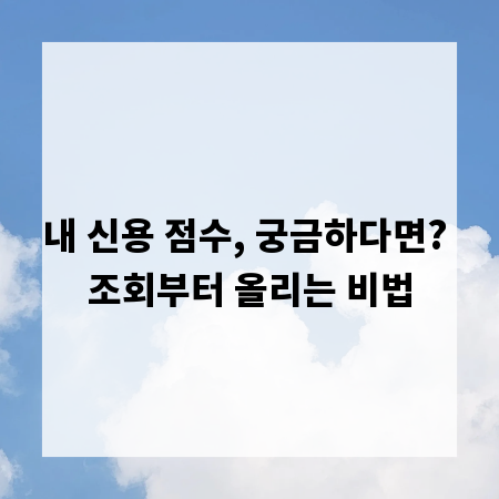 내 신용 점수, 궁금하다면? 조회부터 올리는 비법