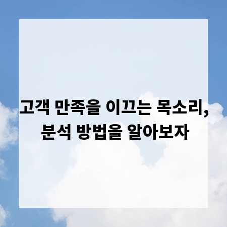 고객 만족을 이끄는 목소리, 분석 방법을 알아보자