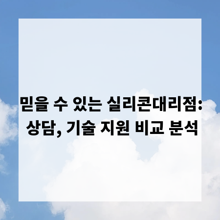 믿을 수 있는 실리콘대리점: 상담, 기술 지원 비교 분석