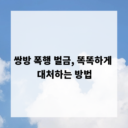 쌍방 폭행 벌금, 똑똑하게 대처하는 방법