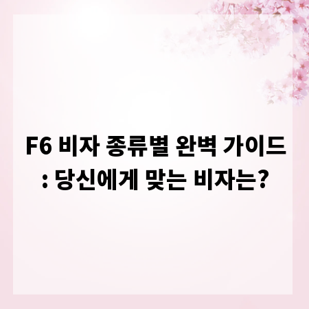 F6 비자 종류별 완벽 가이드: 당신에게 맞는 비자는?