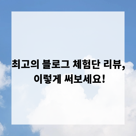 최고의 블로그 체험단 리뷰, 이렇게 써보세요!