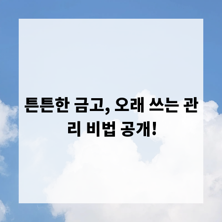 튼튼한 금고, 오래 쓰는 관리 비법 공개!