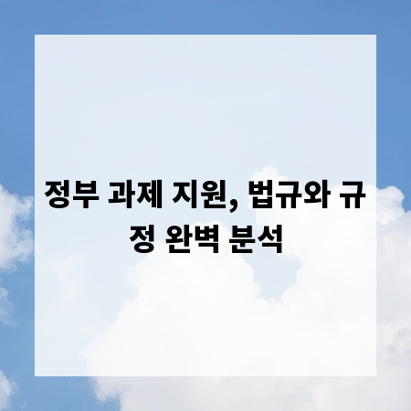 정부 과제 지원, 법규와 규정 완벽 분석