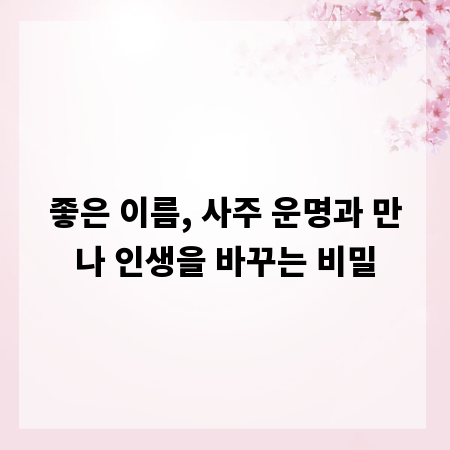 좋은 이름, 사주 운명과 만나 인생을 바꾸는 비밀