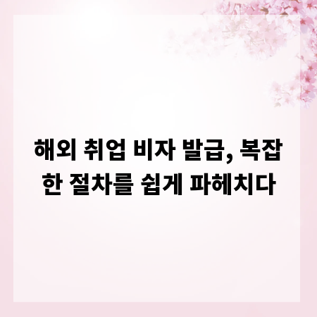 해외 취업 비자 발급, 복잡한 절차를 쉽게 파헤치다