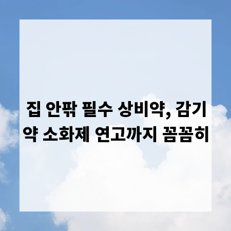 집 안팎 필수 상비약, 감기약 소화제 연고까지 꼼꼼히