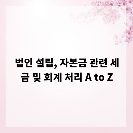 법인 설립, 자본금 관련 세금 및 회계 처리 A to Z