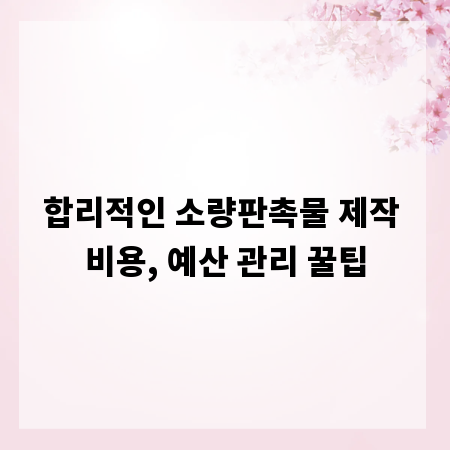 합리적인 소량판촉물 제작 비용, 예산 관리 꿀팁