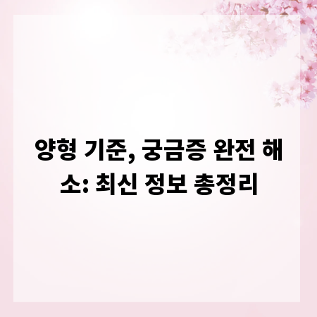 양형 기준, 궁금증 완전 해소: 최신 정보 총정리