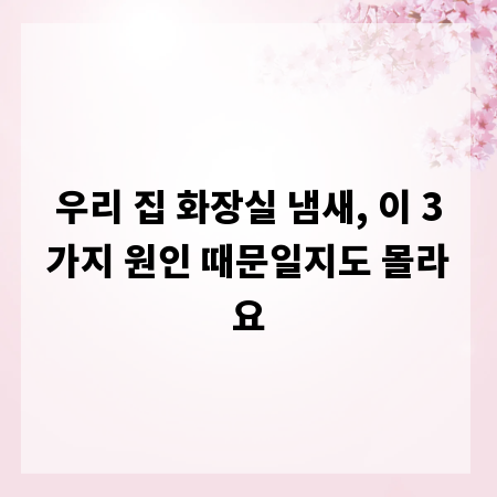 우리 집 화장실 냄새, 이 3가지 원인 때문일지도 몰라요