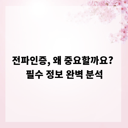 전파인증, 왜 중요할까요? 필수 정보 완벽 분석