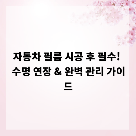 자동차 필름 시공 후 필수! 수명 연장 & 완벽 관리 가이드