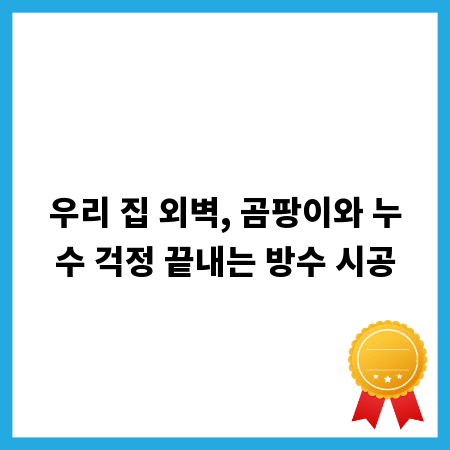우리 집 외벽, 곰팡이와 누수 걱정 끝내는 방수 시공