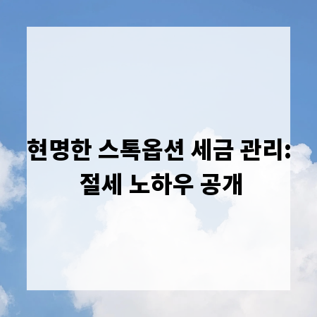 현명한 스톡옵션 세금 관리: 절세 노하우 공개