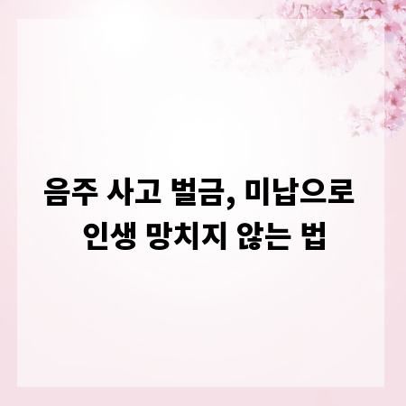 음주 사고 벌금, 미납으로 인생 망치지 않는 법