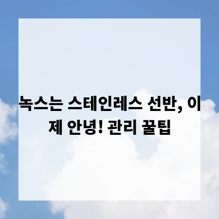 녹스는 스테인레스 선반, 이제 안녕! 관리 꿀팁