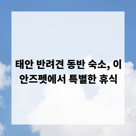 태안 반려견 동반 숙소, 이안즈펫에서 특별한 휴식