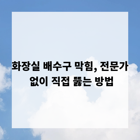 화장실 배수구 막힘, 전문가 없이 직접 뚫는 방법