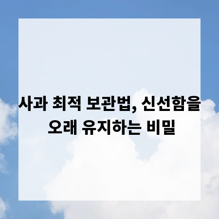 사과 최적 보관법, 신선함을 오래 유지하는 비밀