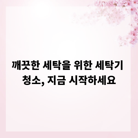 깨끗한 세탁을 위한 세탁기 청소, 지금 시작하세요