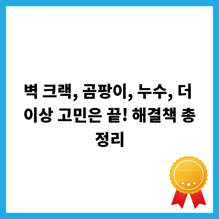 벽 크랙, 곰팡이, 누수, 더 이상 고민은 끝! 해결책 총정리